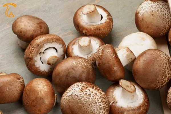 خواص قارچ قهوه ای خوراکی برای سلامت قلب
