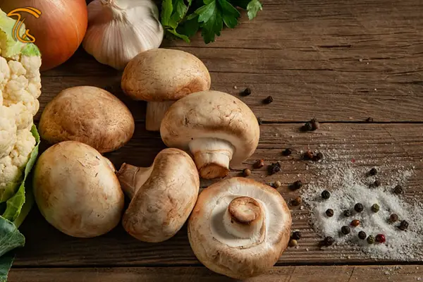 یک عکس که قارچ در کنار کلم و سیر و پیاز را نشان میدهد