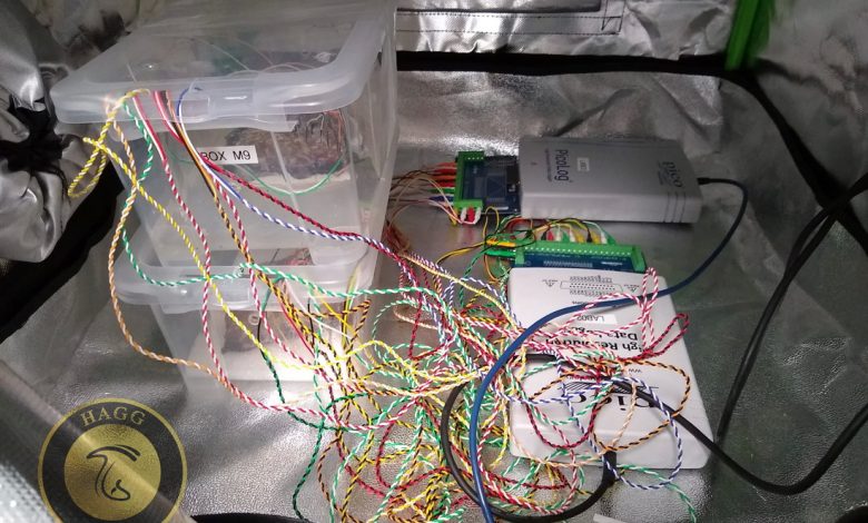 ساخت کامپیوتر زنده با قارچ