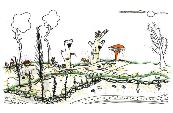 نقاشی با قارچ برای کودکان