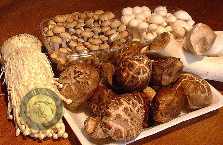 ژنتیک ، ژنومیک و پرورش قارچ های خوراکی در آسیا
