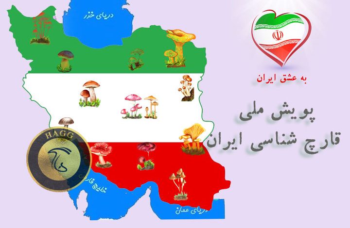 پویش ملی قارچ شناسی ایران
