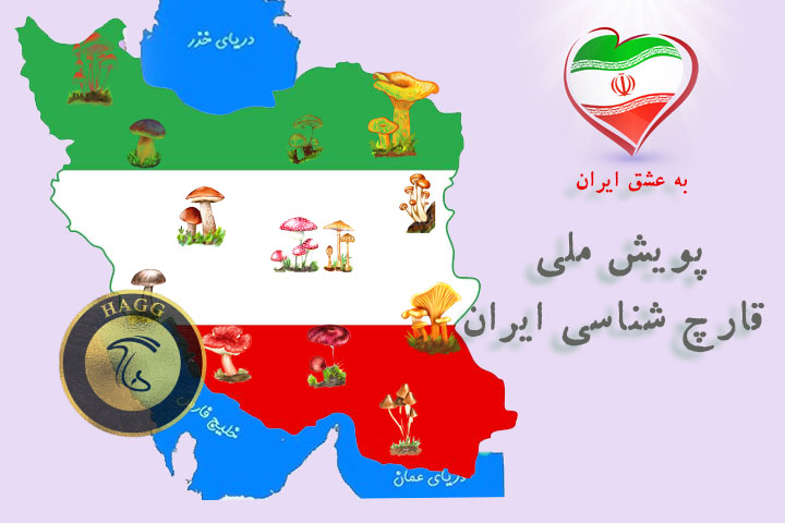 پویش ملی قارچ شناسی ایران