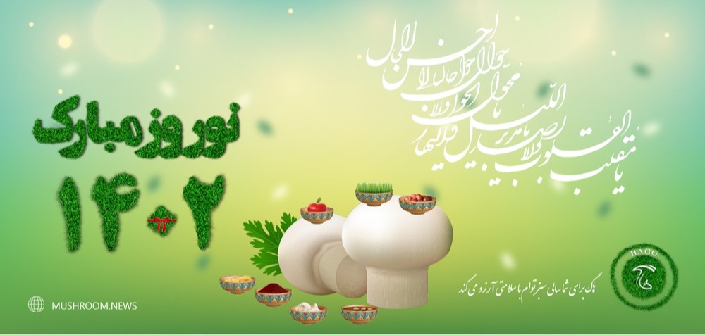 سال نو مبارک