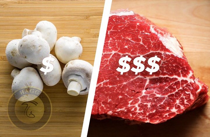 افزایش مصرف قارچ با بالا رفتن قیمت گوشت