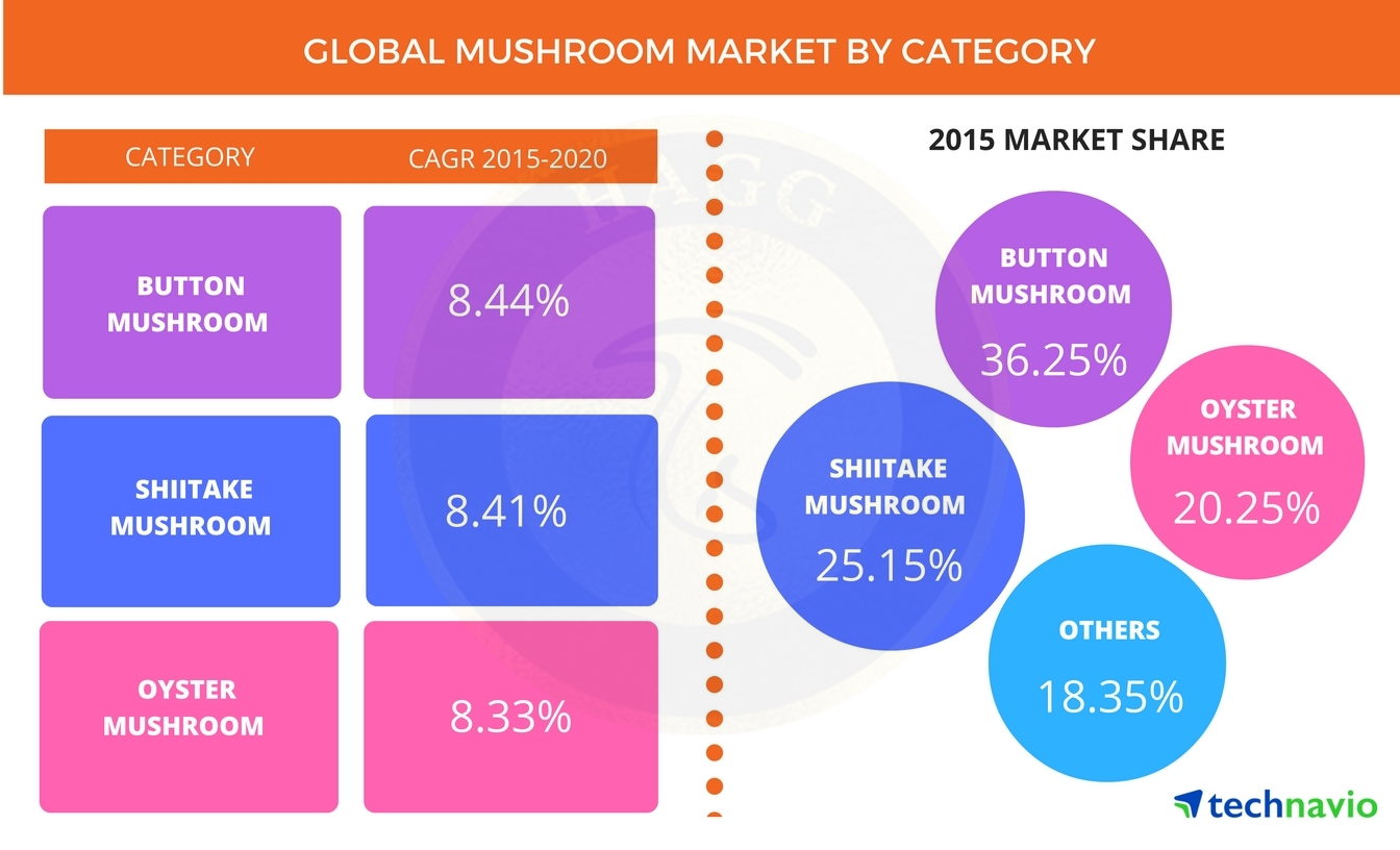 تجزیه و تحلیل بازار جهانی قارچ