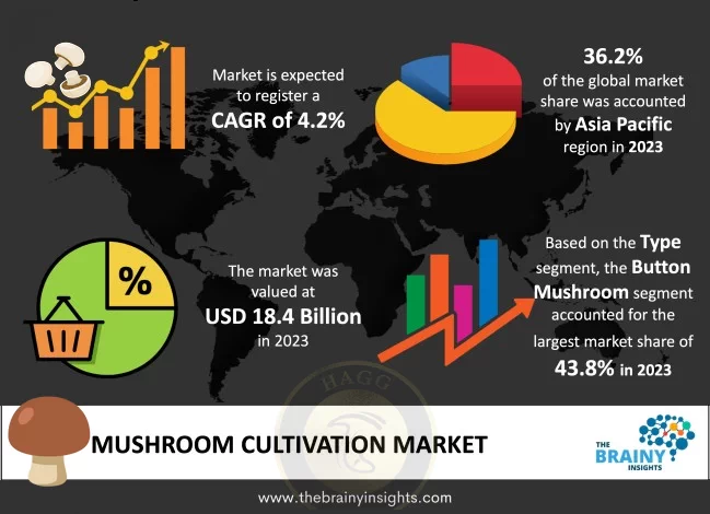 روند بازار جهانی قارچ