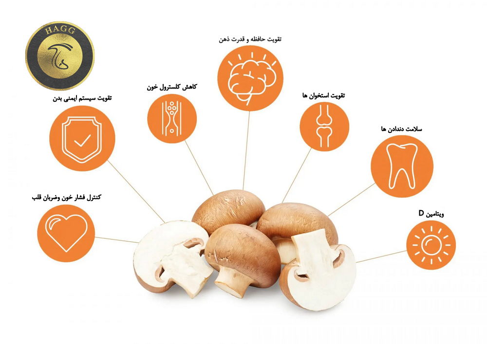 فواید گنجاندن قارچ در رژیم غذایی - مهمترین خواص قارچ برای سلامتی