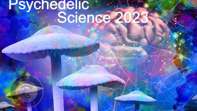 Psychedelic Science 2023 کنفرانس روان گردان ها با محوریت مجیک ماشروم