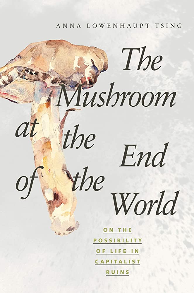 کتاب The Mushroom at the End of the World