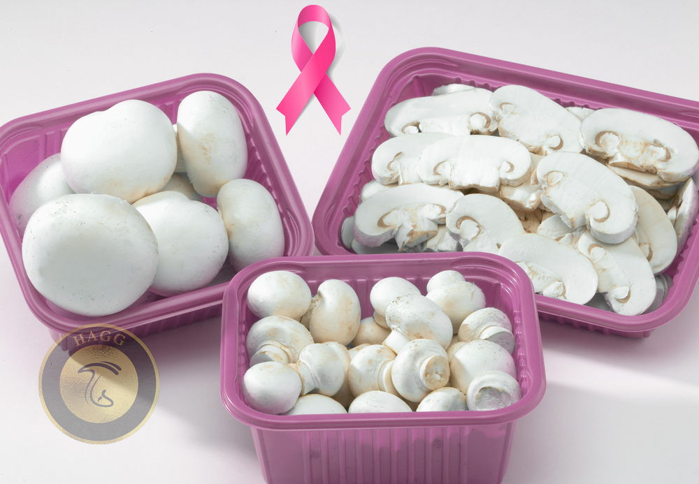 مصرف قارچ برای کاهش خطر ابتلا به سرطان سینه