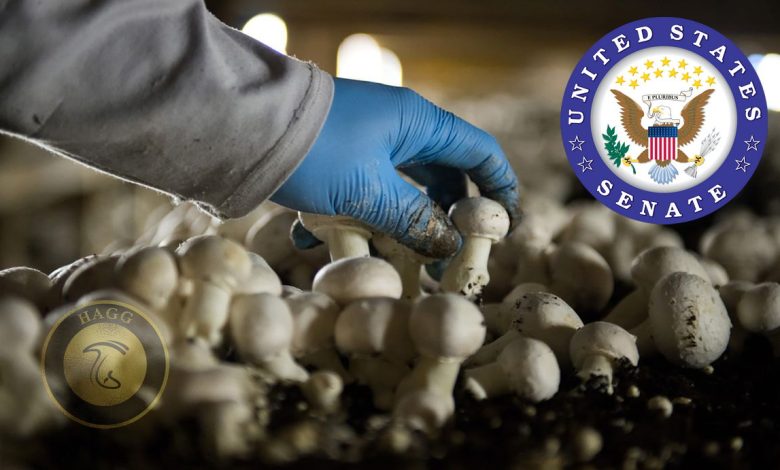 حمایت از پرورش دهندگان قارچ در سنای آمریکا
