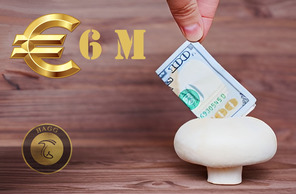 بسته حمایتی 6 میلیون یورویی برای صنعت قارچ