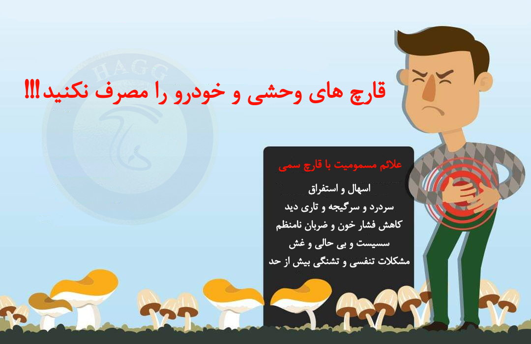 مسمومیت 13 نفر با قارچ سمی در بستان آباد