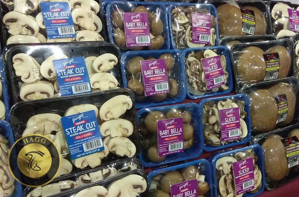بهای انواع قارچ دکمه‌ ای بازار فروش قارچ در تهران بورس قارچ تهران