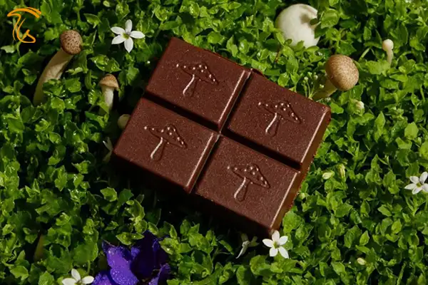 قارچ در شکلات - شکلات قارچی