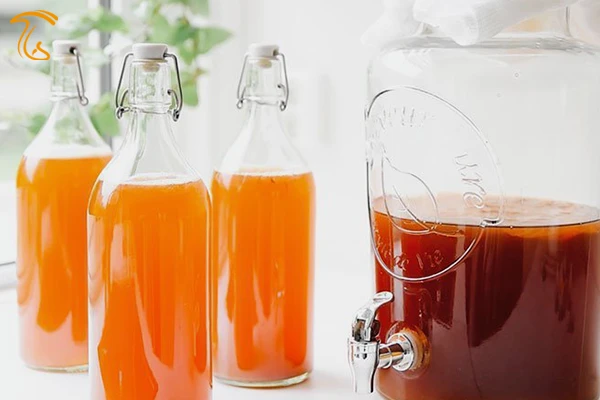 بطری با درب محکم مخصوص مرحله تخمیر و جلوگیری از خروج گاز (طرز تهیه کامبوجا) حکم شرعی قارچ کامبوجا