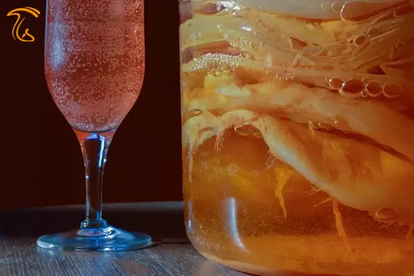 کربناته یا گازدار شدن نوشیدنی کامبوجا (طرز تهیه کامبوجا)