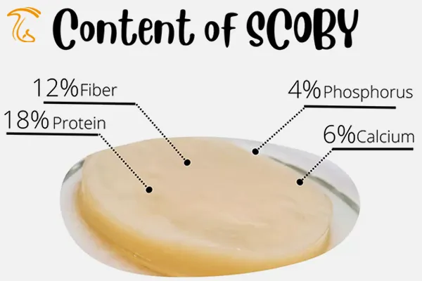 محتوای اسکوبی کامبوچا