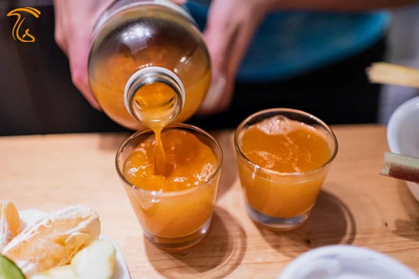 حکم شرعی قارچ کامبوجا نوشیدنی کامبوجا چای کومبوچا