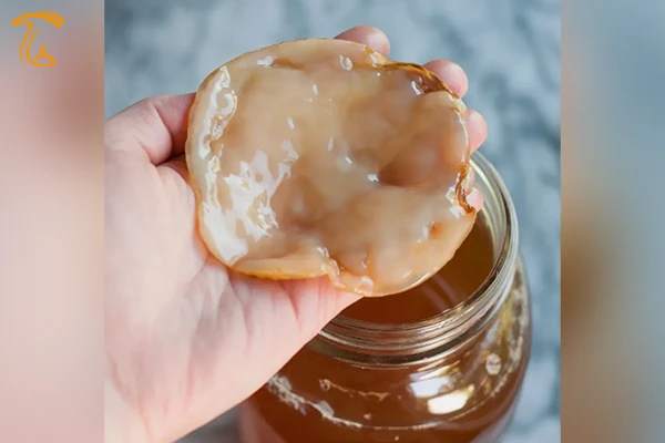 اسکوبی کامبوچا