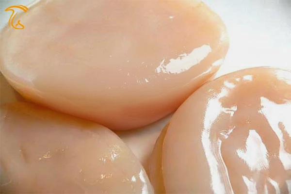 قارچ کامبوچا یا کامبوجا - درمان بیماری های گوارشی