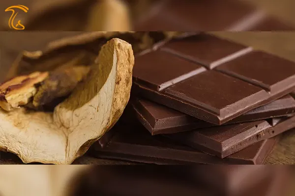 شکلات های حاوی قارچ(شکلات ماشروم)