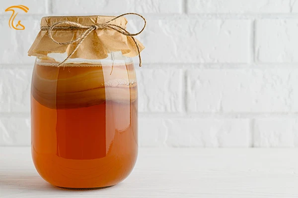 نوشیدنی کامبوچا