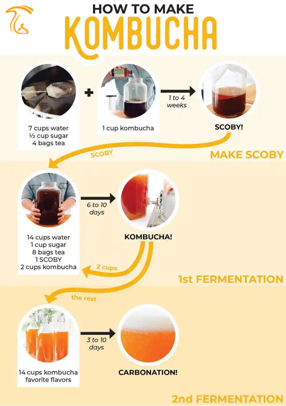 طرز تهیه چای کامبوچا