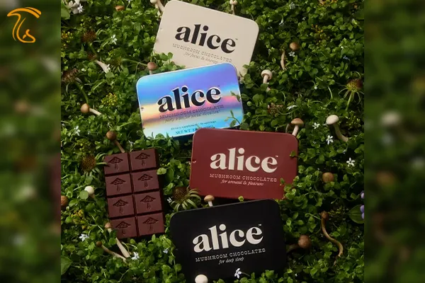 شکلات های آلیس حاوی قارچ های کاربردیشکلات های وگان آلیس حاوی قارچ های کاربردی و دیگر گیاهان دارویی با خواص متفاوت
