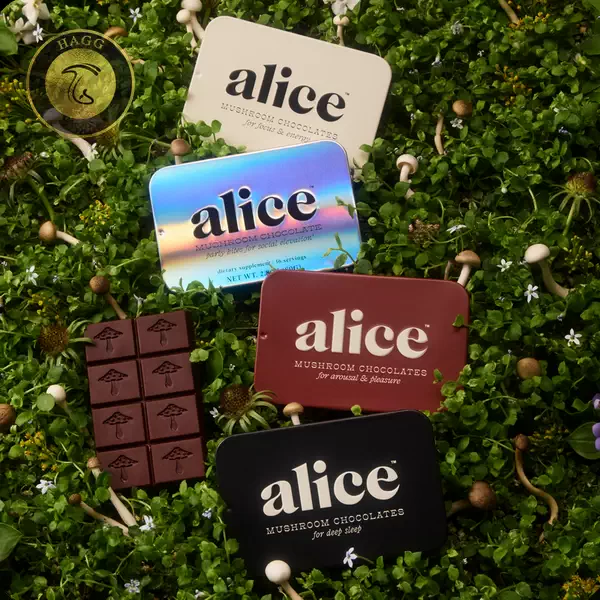 شکلات های آلیس حاوی قارچ های کاربردی
