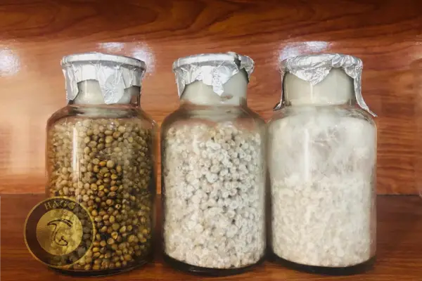 نحوه تهیه اسپاون