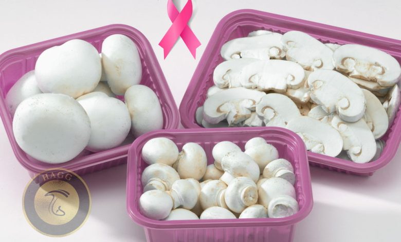 کشف قارچ هایی که می توانند سرطان را متوقف کنند
