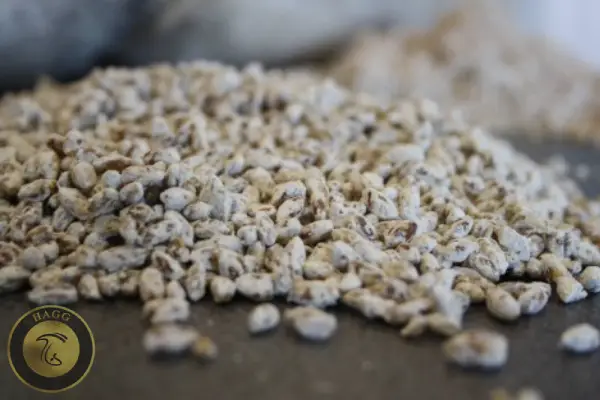 تولید کیفی اسپاون با بهره گیری از تکنیک های نوین