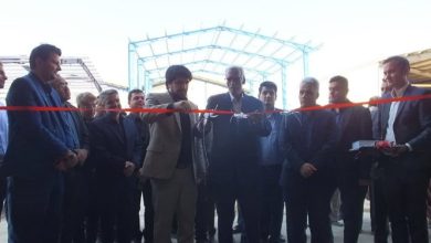 افتتاح واحد تولید قارچ در پیشوا