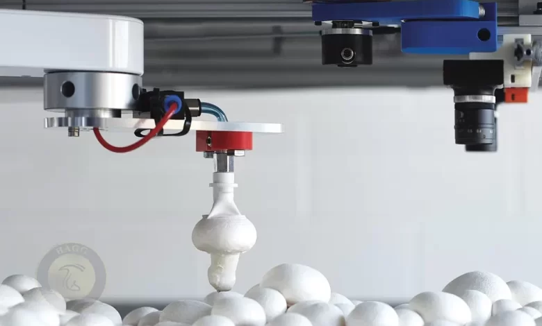 پرورش قارچ با هوش مصنوعی