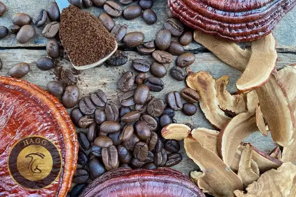 نوشیدنی ساخته شده شده از قارچهای ریشی متناسب با بیماری ها