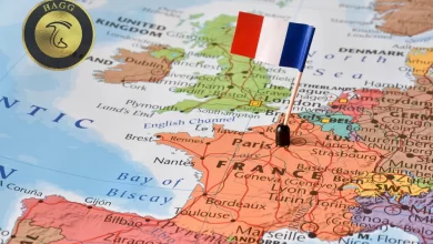 فرانسه رکورد دار مسمومیت با قارچ وحشی