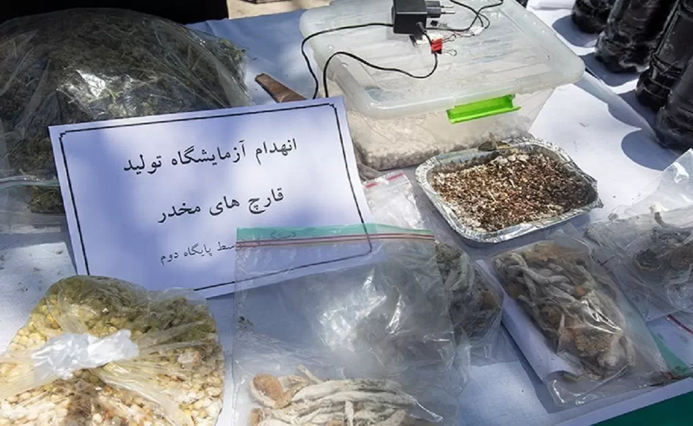 باند تولید مخدر ماشروم متلاشی شد