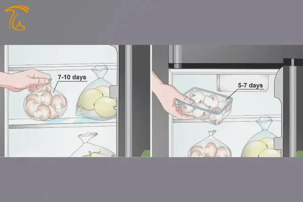 طریقه نگهداری قارچ در یخچال برای ماندگاری بیشتر