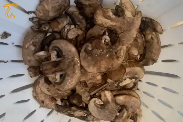 آیا قارچ سیاه شده خراب است؟ قارچ سیاه شده ضرر دارد؟