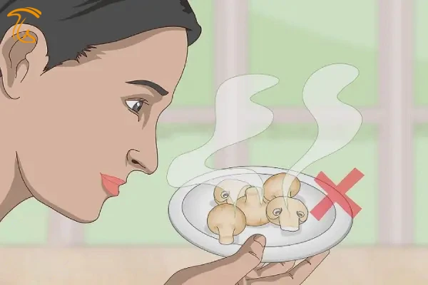 تشخیص قارچ سالم