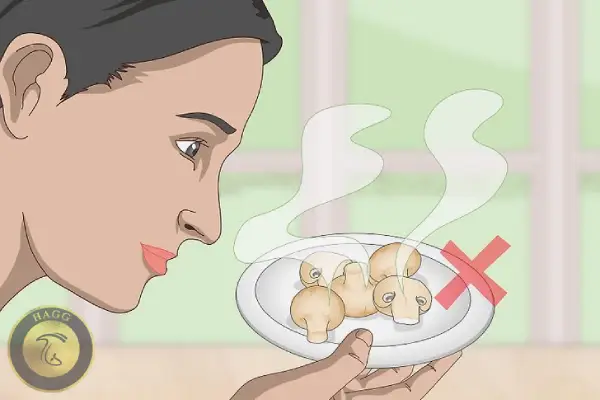 تشخیص قارچ سالم