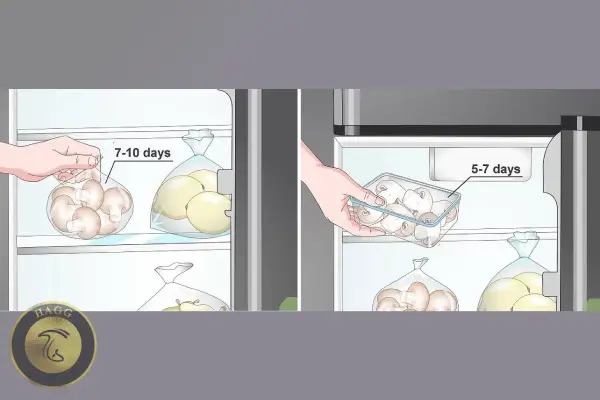 طریقه نگهداری قارچ در یخچال برای ماندگاری بیشتر