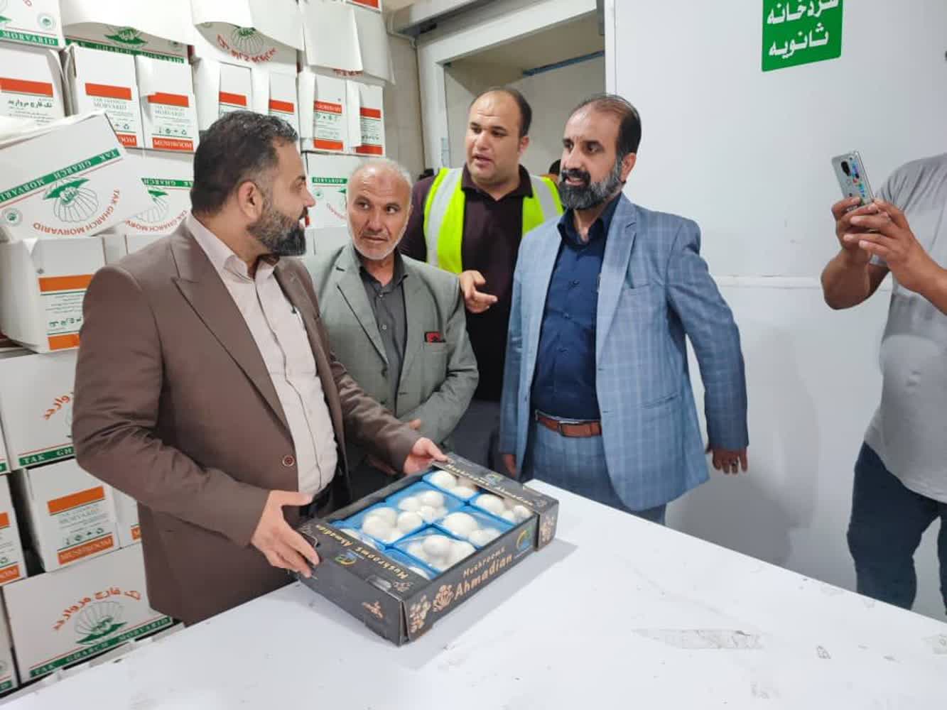 لزوم رفع مشکلات کارخانه قارچ شوش محسن هویزه فرماندار شوش