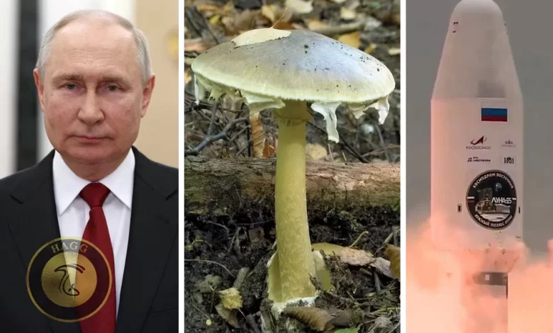 مرگ دانشمند موشکی روس با قارچ سمی