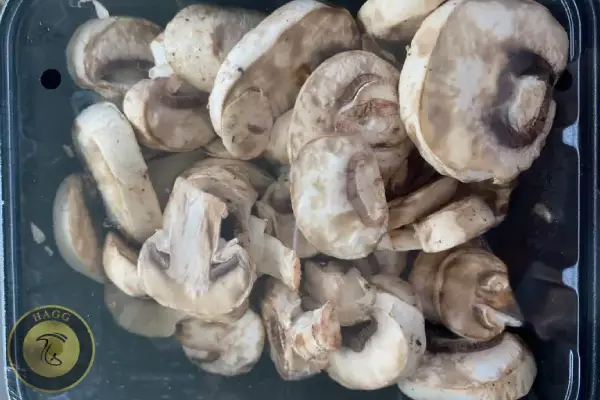 قارچ خراب شده و لزج شده که احتمالا بوی ماهی میدهد