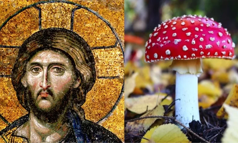 آیا عیسی مسیح یک قارچ توهم زا بود؟