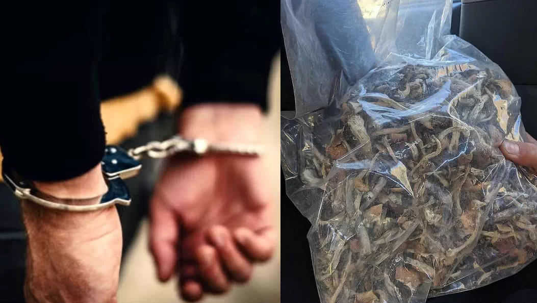 دستگیری فروشنده مجیک ماشروم