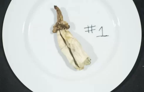 نمونه ارسالی شماره 1 در جام روانگردان